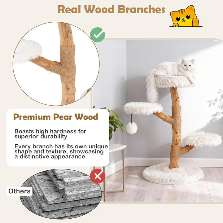 SOARS Kratzbaum Holz, 90 cm Katzenbaum mit 3 Plattformen, Kratzsäulen & Plüschball, Katzenkratzbaum