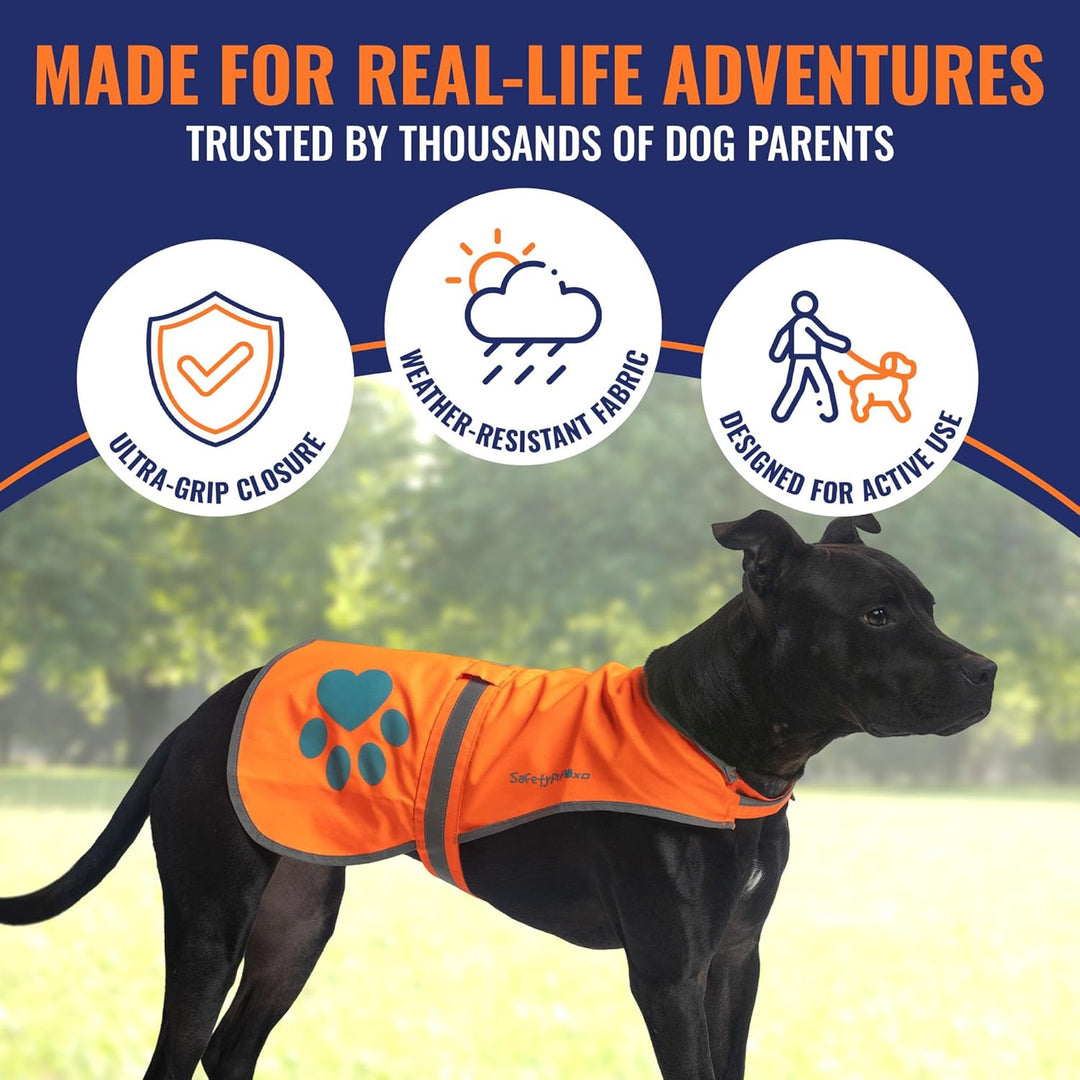 SafetyPUP XD Hund Warnweste, Grössen passen Hunde 14 lbs bis 130 lbs Blaze Orange Gross, Groß