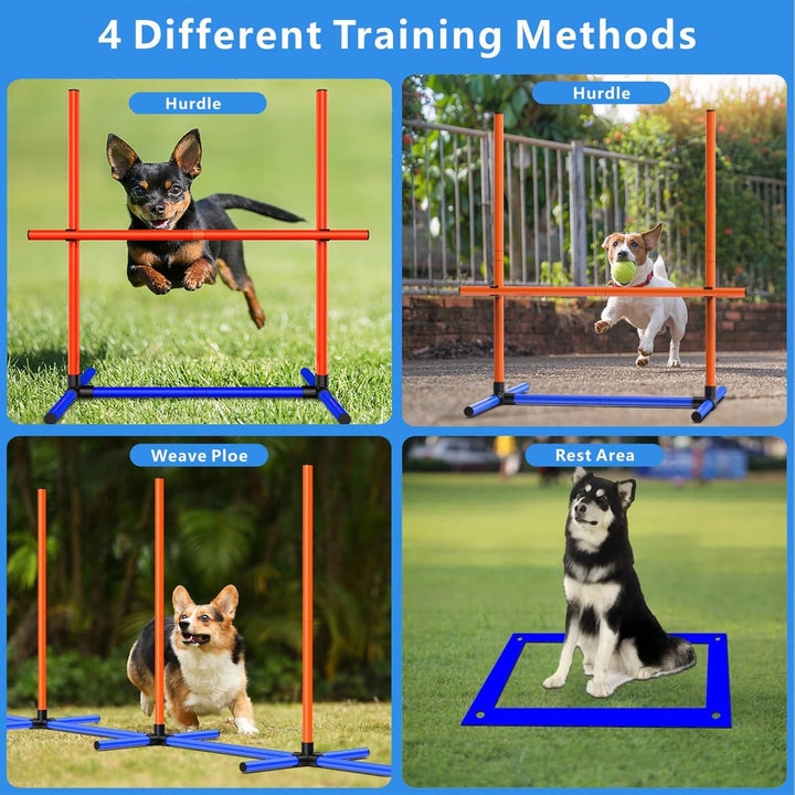 Agility-Trainingsset für Hunde, Hindernisset mit Slalomstangen, Hundesport-Ausrüstung, für Grosse un