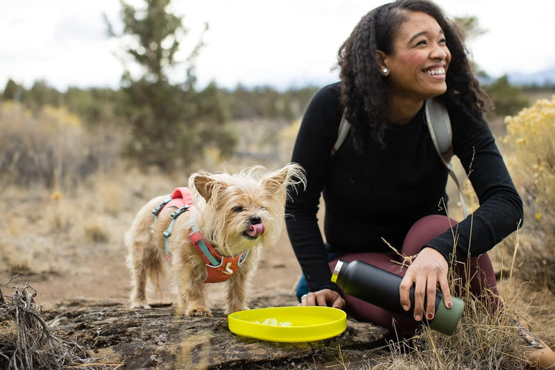 RUFFWEAR Camp Flyer Hundespielzeug, 2-in-1, flexibel und pannensicher, Wurfscheibe und Napf für Haus