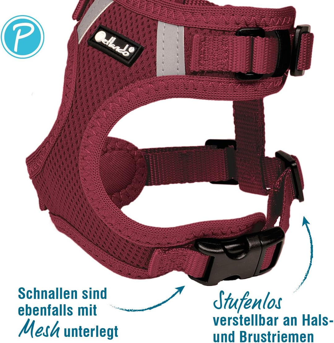 Petlando Hundegeschirr Mesh Vest, leichtes Brustgeschirr aus weichem Mesh & Nylon, stufenlos verstel