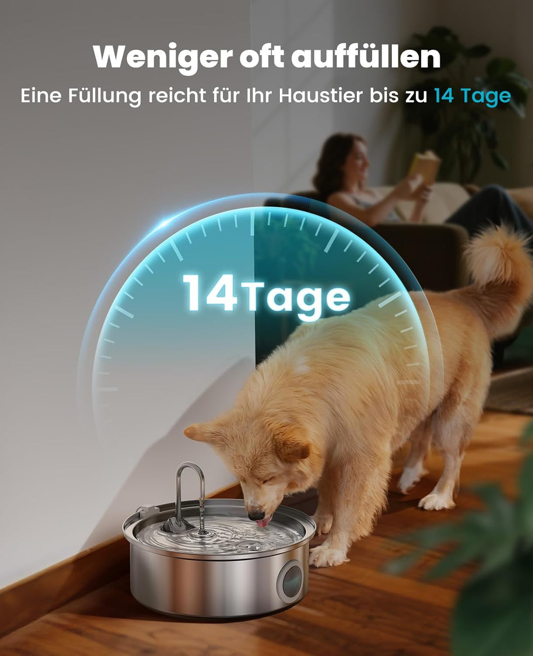 oneisall 7L Trinkbrunnen für Hunde, Katzenbrunnen für Katzen, Edelstahl Hundebrunnen mit LED-Licht,