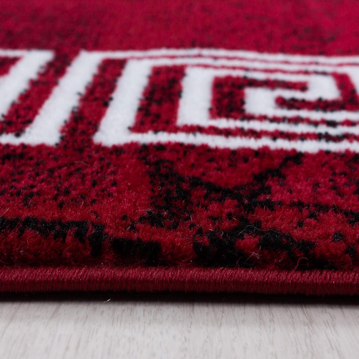 Carpetsale24 Teppich Wohnzimmer Marmor Optik mit Mäander Bordüre Muster Rot Meliert 240 x 340 cm - K