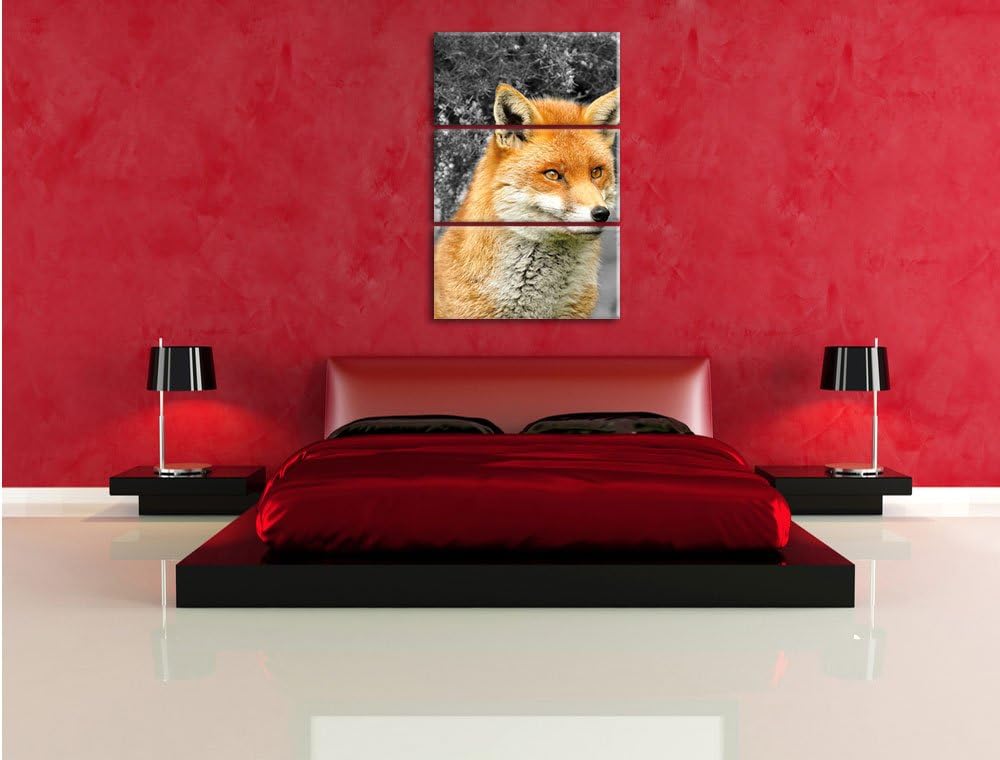 Pixxprint stolzer Fuchs im Geäst als Leinwandbild/Grösse: 3 Teilig (120x80) / Wandbild/Kunstdruck/fe