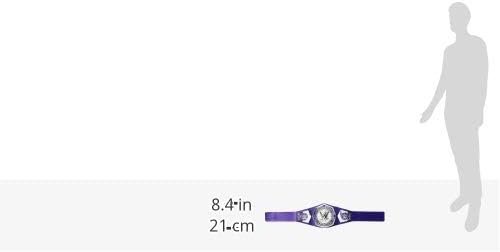 WWE Cruiserweight Championship Gürtel