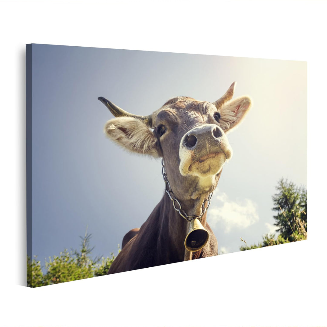 Bild auf Leinwand Porträt Einer Kuh mit Glocke Bilder Wandbild Poster Leinwandbild 100x57cm, 100x57c