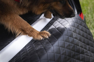 Autohundebett Reisebett Hundebett für Kofferraum Transportsystem 100x70cm (Farbe: schwarz, blau), sc