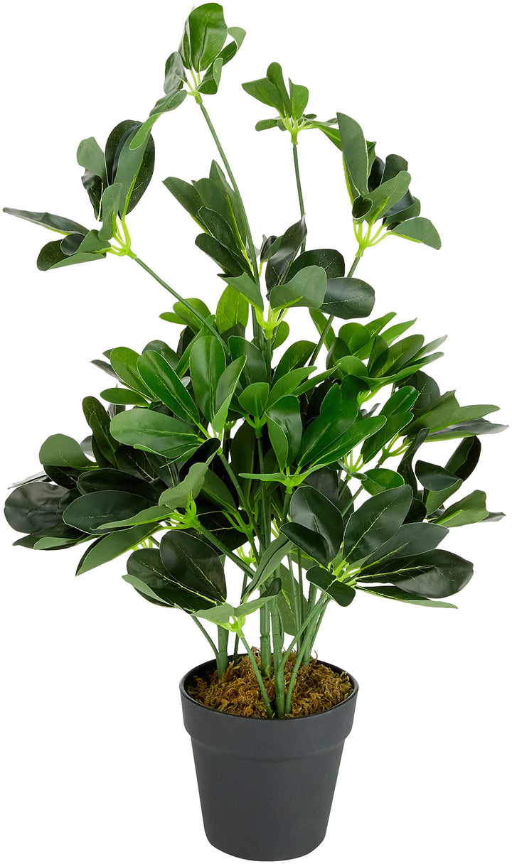 Leaf Künstlicher Schefflera Arboricola Regenschirm, 55 cm, schwarzer Kunststoff-Topf, dunkelgrüne Pf