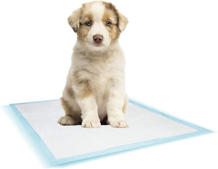 Nobby Training Pads 50 St.; L ; 60 x 60 cm