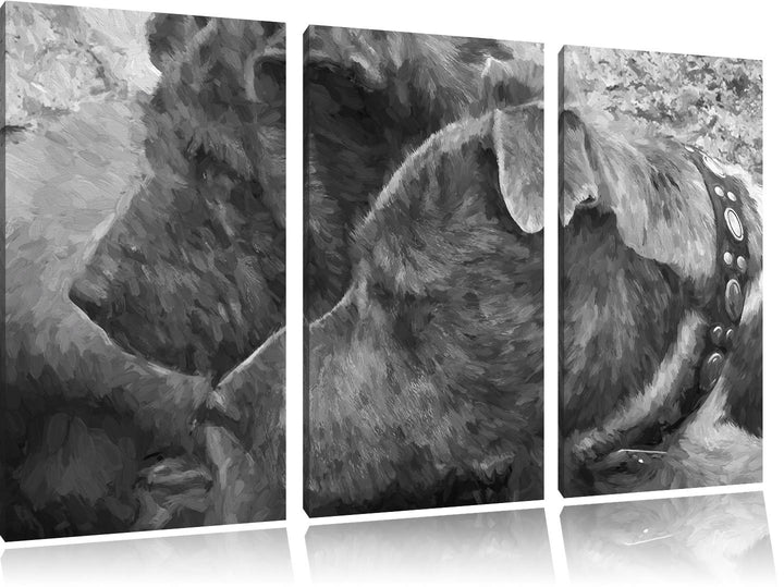 zwei Hunde im Profil NewArt 3-Teiler Leinwandbild 120x80 Bild auf Leinwand, XXL riesige Bilder ferti