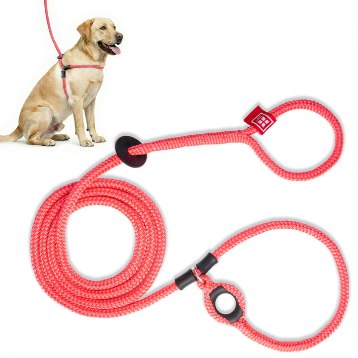 Harness Hundeleine mit Geschirr. Medium/Large 40-170 lbs rose, Medium/Large 40-170 lbs rose