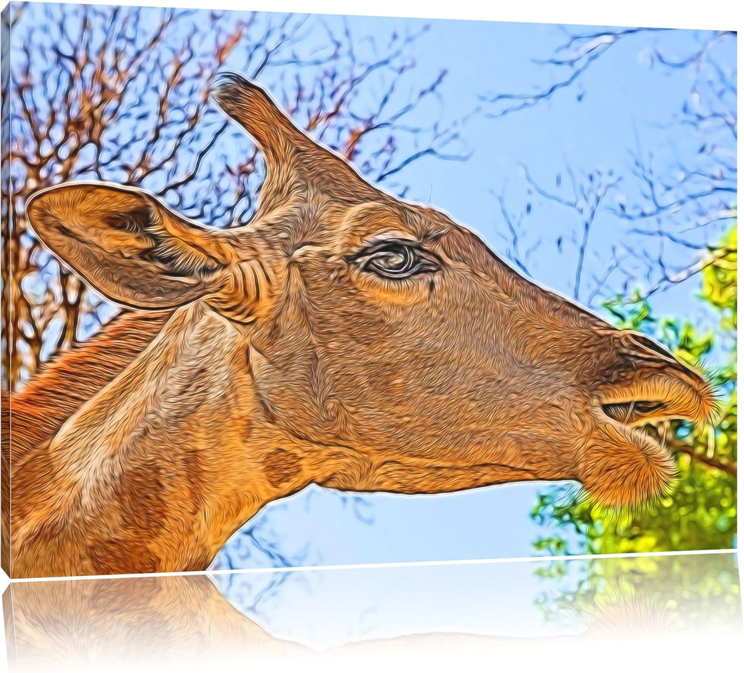 anmutige Giraffe isst Deluxe Format: 100x70 cm auf Leinwand, XXL riesige Bilder fertig gerahmt mit K