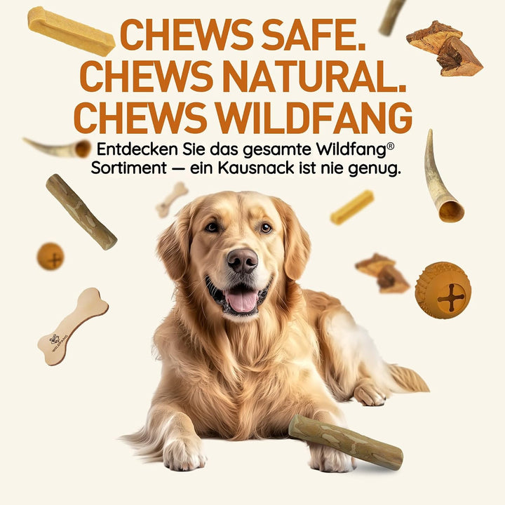 Wildfang® 3 Kaustab Hund aus Kaffeeholz (Grösse XS) – Kauspielzeug für Welpen &amp; kleine Hunde < 15 kg