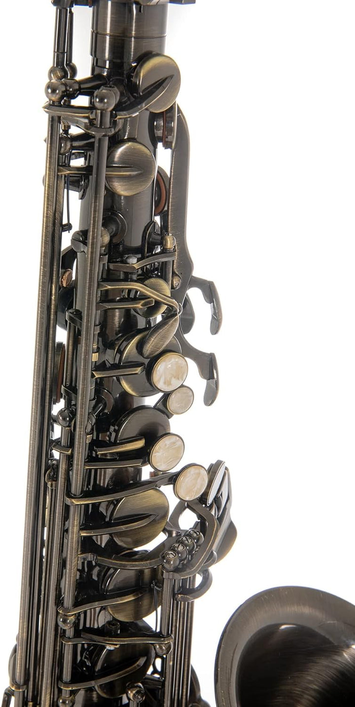 Roy Benson Eb-Alt Saxophon MOD.AS-202A antik lackiert, inkl. leichtem Rechtecketui, AS-202A