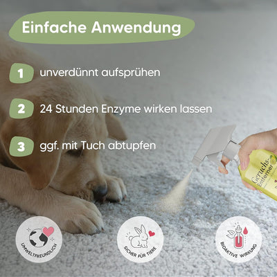 Pawlie's Tier-Geruchsneutralisierer (EXTREM STARK) & Enzymreiniger Katzenurin Geruchsentferner & Hun