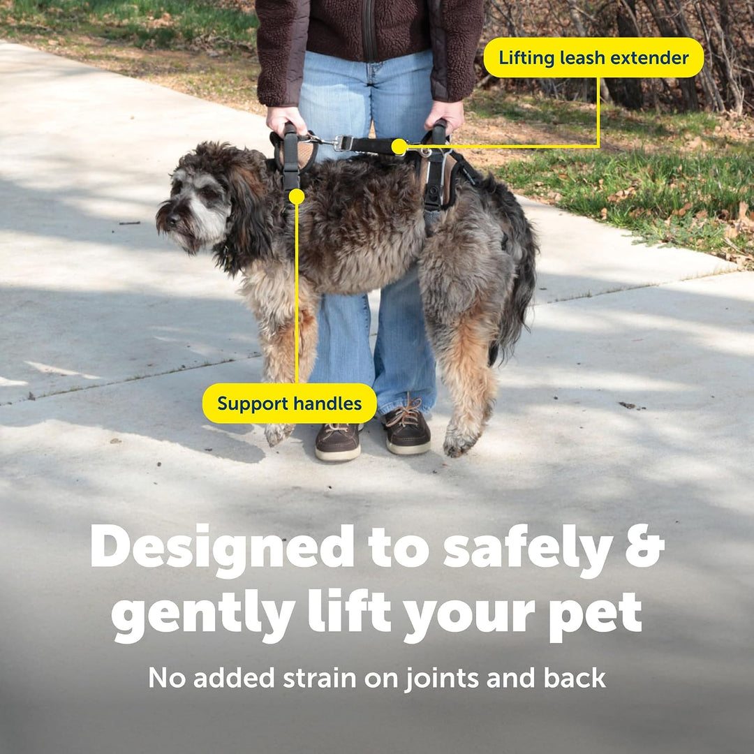 PetSafe CareLift Stützgeschirr – Ganzkörper-Hebehilfe mit Griff und Schultergurt – ideal für Haustie