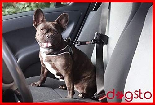 Dogsto Hunde Sicherheitsgurt für jedes Auto mit mittiger Befestigung am Sicherheitsgurt - Ideale