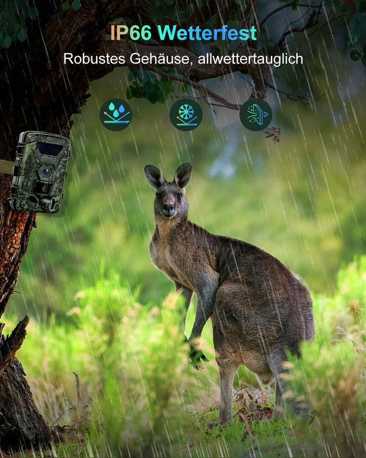 Wildkamera, 8K Wildtierkamera WLAN mit 32G Speicherkarte 60MP Wildcamera mit Handyübertragung APP, B