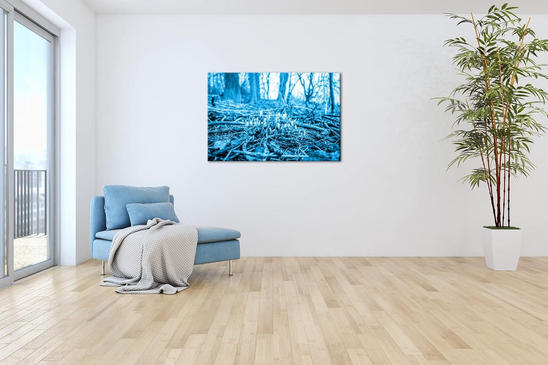 deyoli Der Frühling kommt - wachsende Schneeglöckchen Format: 80x60 Effekt: Monocrome Blau als Leinw