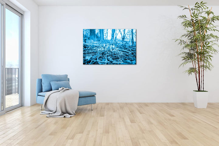 deyoli Der Frühling kommt - wachsende Schneeglöckchen Format: 80x60 Effekt: Monocrome Blau als Leinw