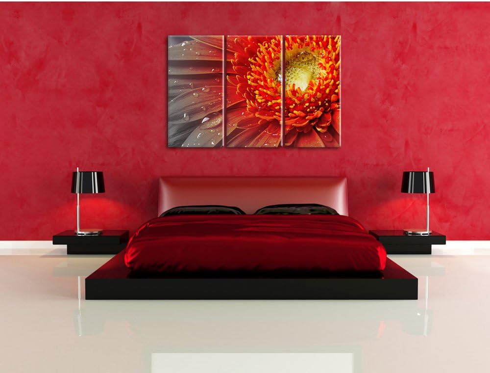 Pixxprint Gerbera mit Wassertropfen als Leinwandbild/Grösse: 3 Teilig (120x80 cm) cm/Wandbild/Kunstd