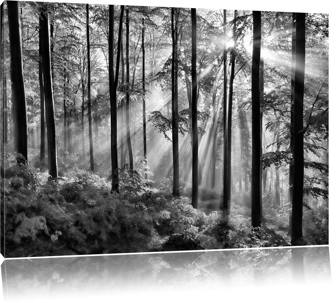 Pixxprint Sonnenstrahlen im Wald / 100x70cm Leinwandbild bespannt auf Holzrahmen/Wandbild Kunstdruck