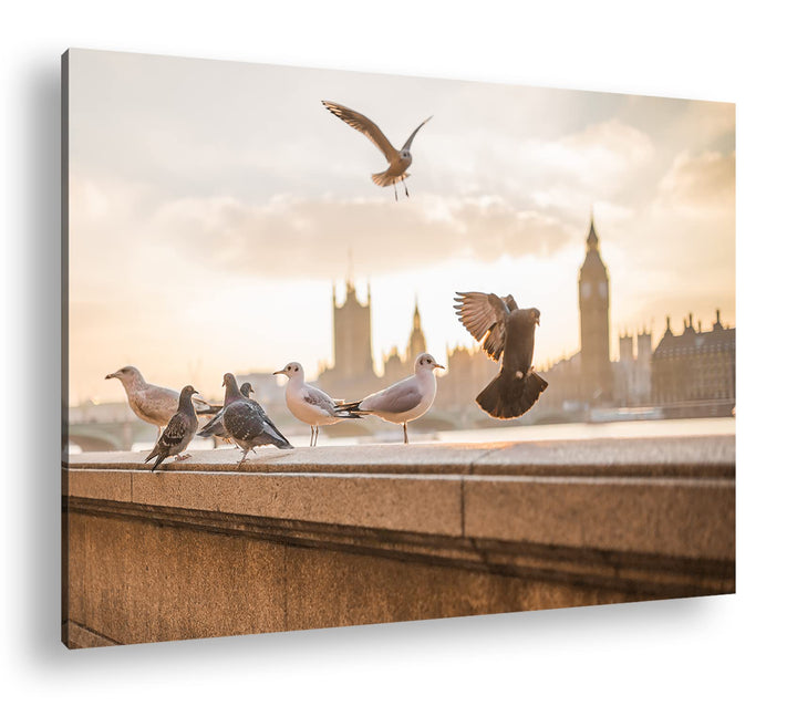 deyoli Tauben in London Format: 100x70 cm als Leinwandbild, Motiv fertig gerahmt auf Echtholzrahmen,