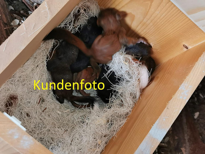 Hochwertig imprägnierter, Witterungsbeständiger XXXL Eichhörnchen Kobel/Futterhaus aus hochwertigem