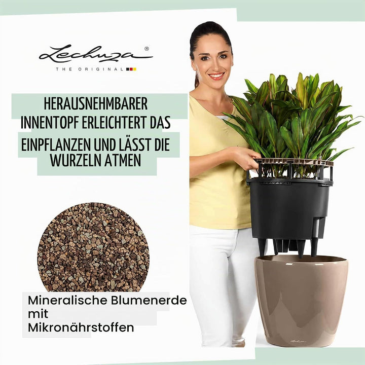 LECHUZA CLASSICO Premium LS 50 schwarz hochglanz 16109 49.5x49.5x46.5 cm Schwarz Hochglanz Einzel, 4