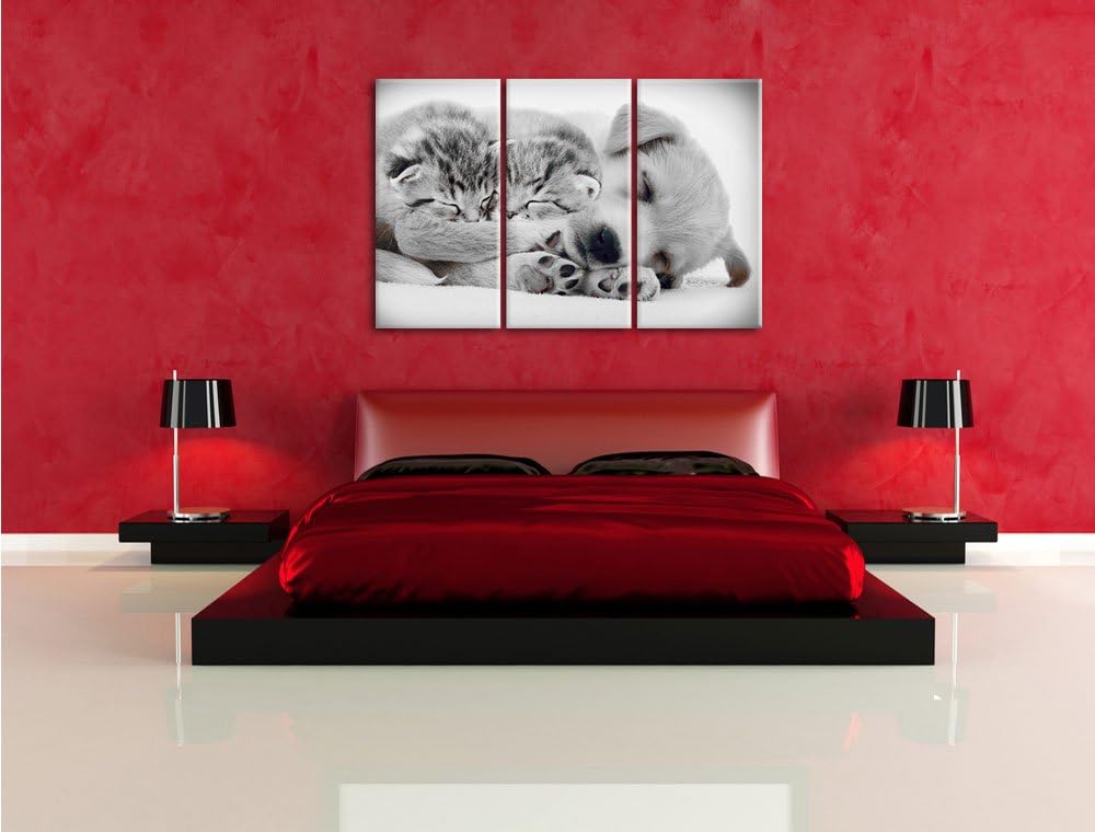 Pixxprint Hundewelpe mit kleinen Kätzchen als Leinwandbild/Grösse: 3 Teilig (120x80) cm/Wandbild/Kun
