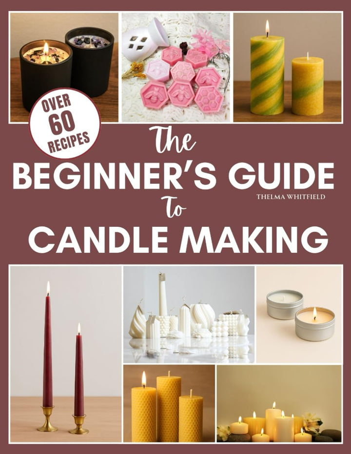THE BEGINNER&