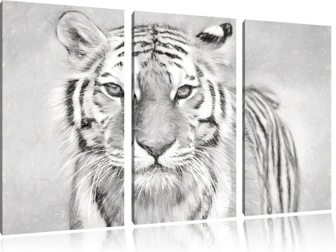 Pixxprint Tiger in als Leinwandbild 3 teilig/Grösse: 3 Teilig (120x80) / Wandbild/Kunstdruck/fertig