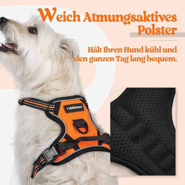 rabbitgoo Hundegeschirr Kleine Hunde, Anti Zug Geschirr mit Kontrolle, No Pull Verstellbar Hundegesc
