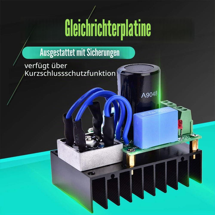 0-220 V AC / 0-311 V DC 10 A Gleichrichterplatine Netzteilplatine Gleichrichter mit Blitzschutzröhre