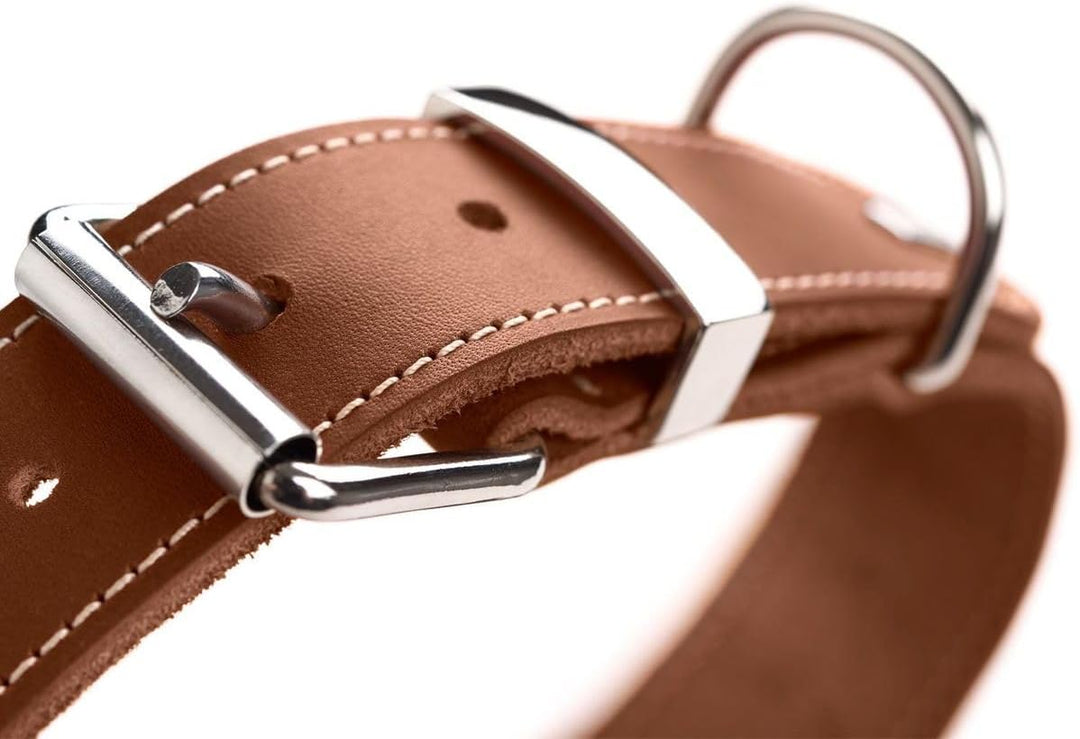 HUNTER AALBORG SPECIAL Hundehalsband, Leder, strapazierfähig, komfortabel, 55 (M), cognac cognac 55