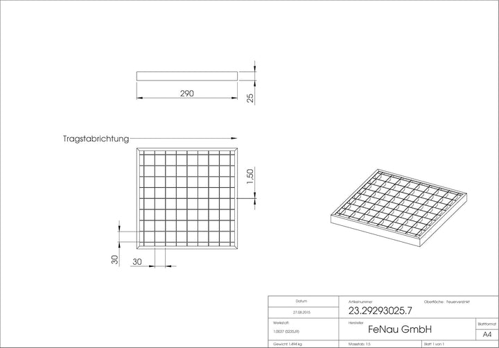 Fenau - 290 x 590 x 20 mm - Gitterrost, MW: 30/30 mm, verzinkt, Rost für Zarge: 300 x 600 x 23 mm, B