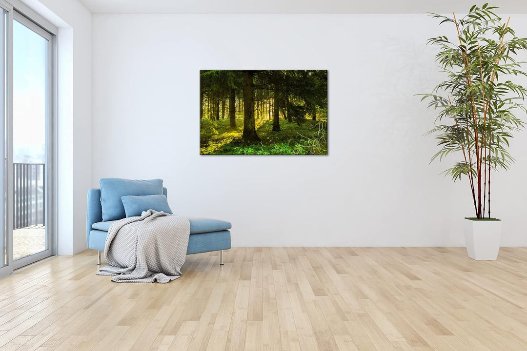 deyoli atemberaubende Waldlichtung Format: 80x60 als Leinwandbild, Motiv fertig gerahmt auf Echtholz
