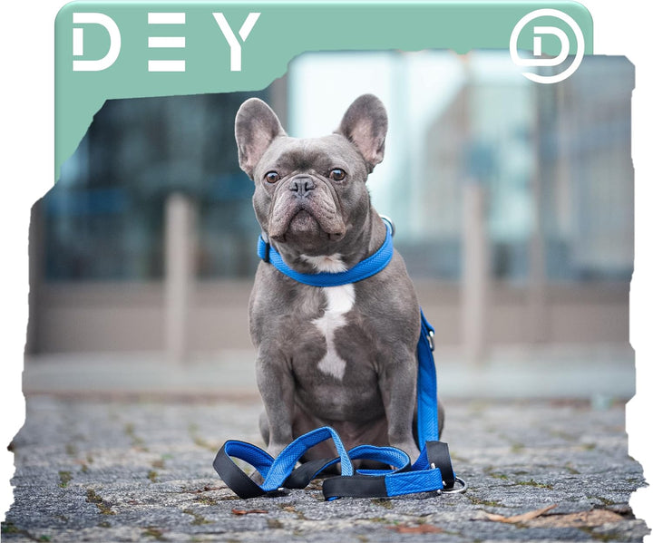 DEY - Premium Hundeleine Air Mesh 2m | 3fach Verstellbar | für Kleine, Mittelgrosse u. Grosse Hunde