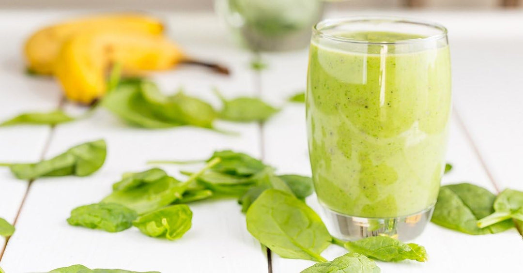 VASNER Entsafter Edelstahl Saftpresse Obstpresse für Säfte aus Obst und Gemüse Slow Juicer