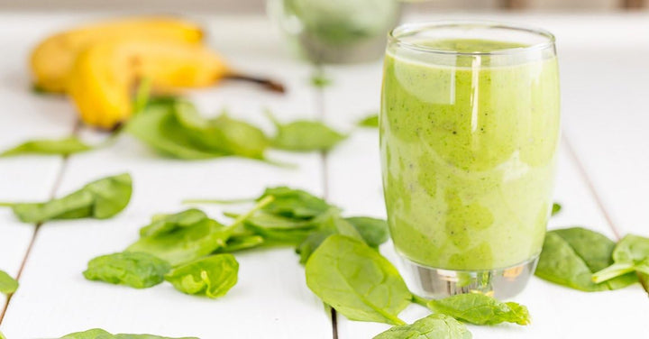 VASNER Entsafter Edelstahl Saftpresse Obstpresse für Säfte aus Obst und Gemüse Slow Juicer