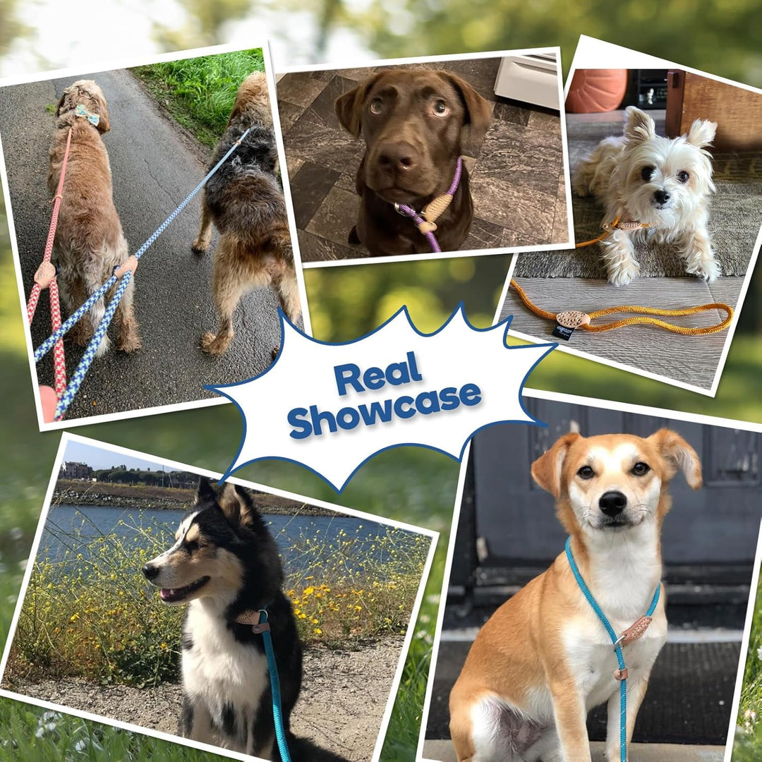 Grand Line Retrieverleine mit Zugstopp, 150 cm Moxonleine Reflektierende Hundeleine, Sicher Dauerhaf