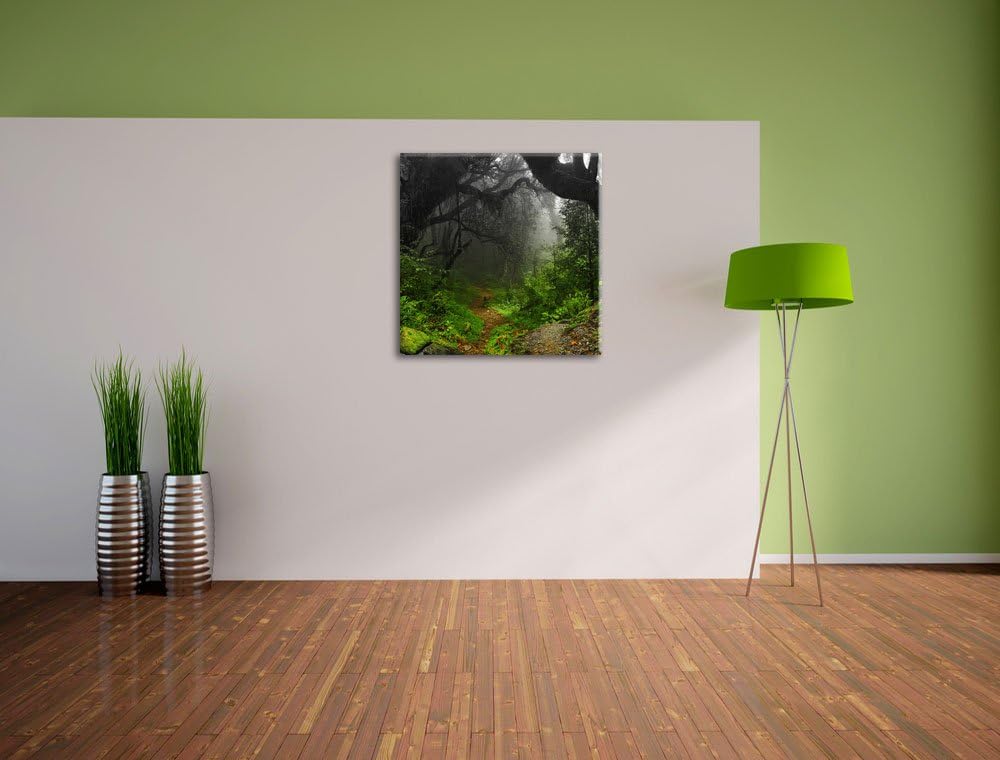 Pixxprint Mystischer Regenwald als Leinwandbild Quadratisch/Grösse: 70x70 / Wandbild/Kunstdruck/fert