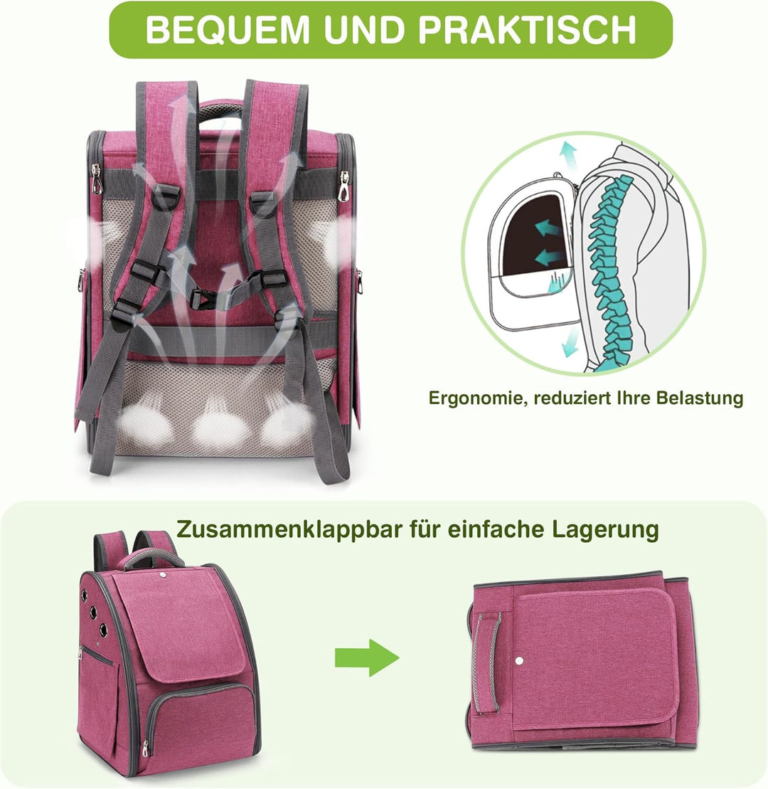ALLSOPETS Katzenrucksack, Faltbarer Atmungsaktiver Hunderucksack mit Sonnenschutz für Klein Hunde un