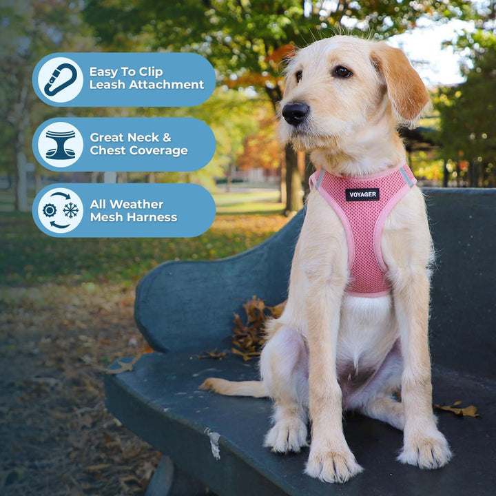 Best Pet Supplies Voyager Step-In Air Hundegeschirr â€“ Allwetter-Netzgewebe für kleine und mittelgr