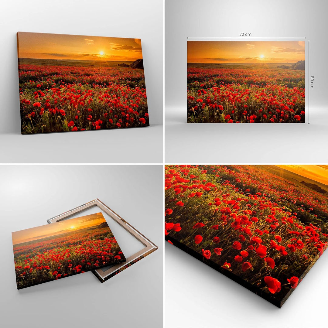 Bilder auf Leinwand Mohn Blume Wiese Leinwandbild mit Rahmen 70x50cm Wandbilder Dekoration Wohnzimme