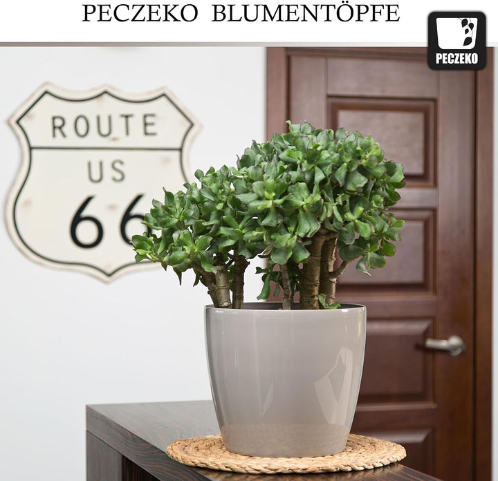 PECZEKO Glänzende Blumentöpfe - Deko Pflanztopf für Blumen &amp; Kräuter - Langlebige &amp; leichte runde Ku