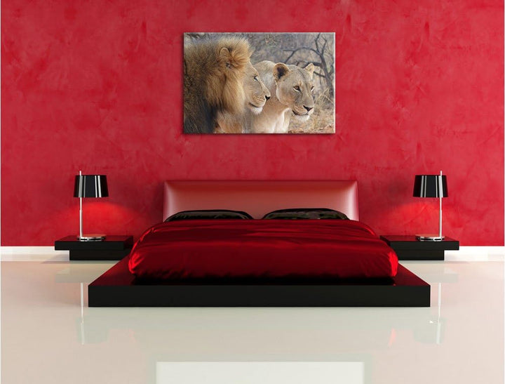 stolzes Löwenpaar, Format: 100x70 auf Leinwand, XXL riesige Bilder fertig gerahmt mit Keilrahmen, Ku