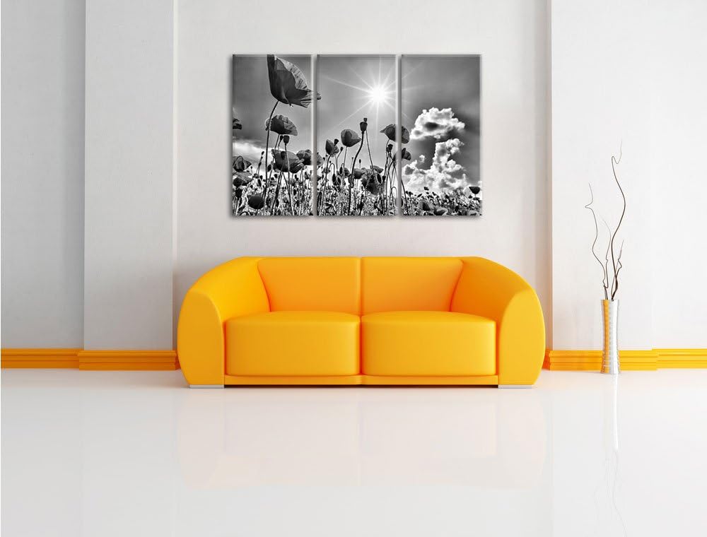 Pixxprint Mohnblumen als Leinwandbild | Grösse: 3 Teilig (120x80) | Wandbild| Kunstdruck | fertig be