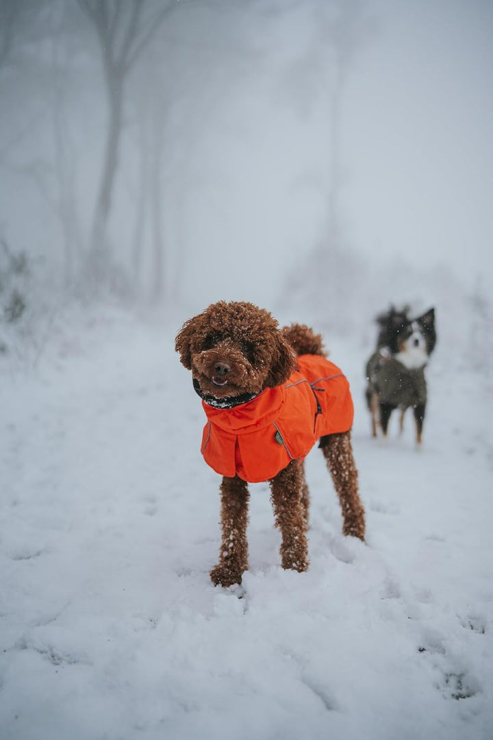 HUNTER Hundemantel NORDBY, Farbe: orange, wasserabweisend, warm gefüttert, reflektierend, ideal für