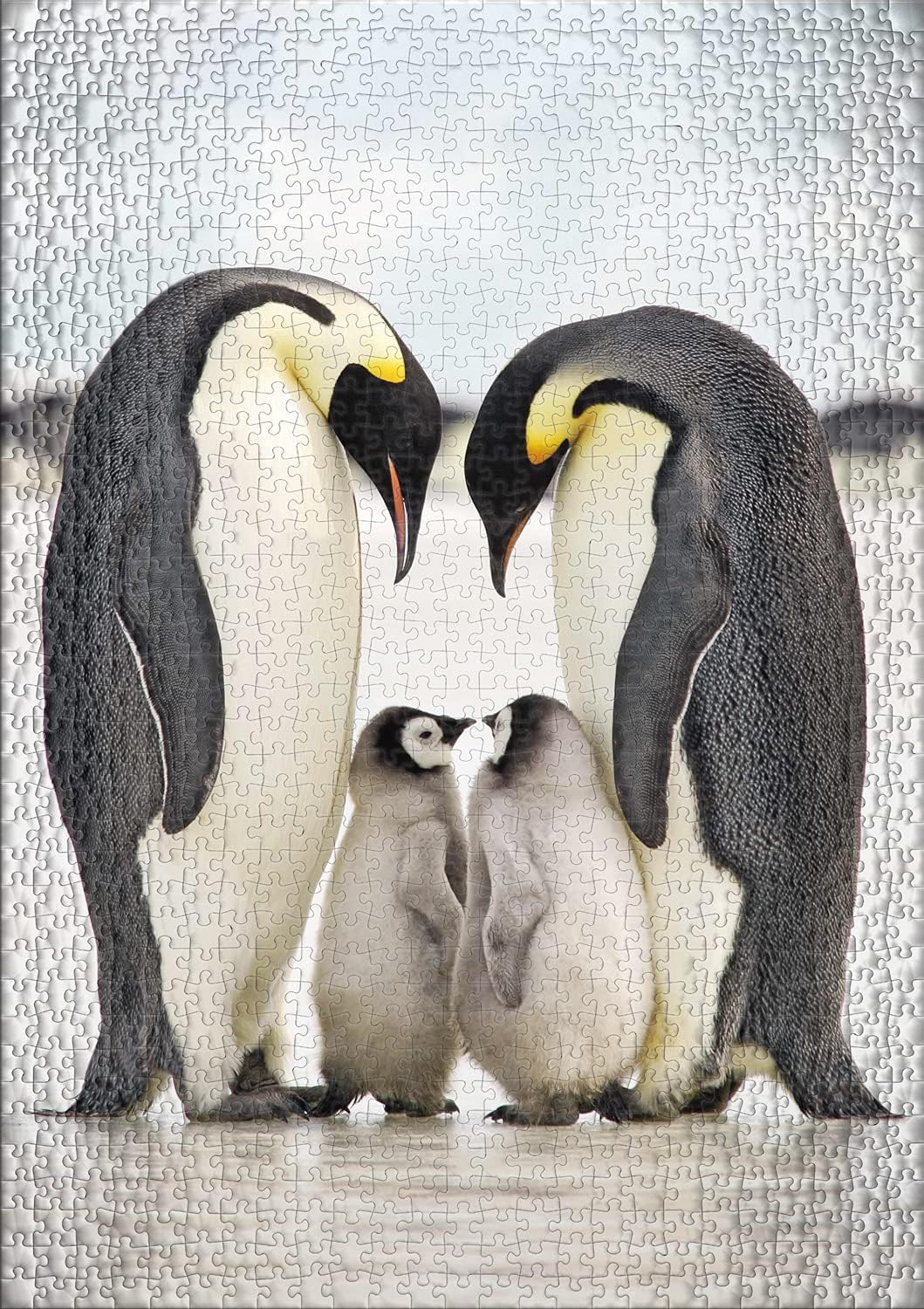 Ulmer Puzzleschmiede - Puzzle „Familienglück“ - Klassisches 1000 Teile Puzzle - Pinguine als origine
